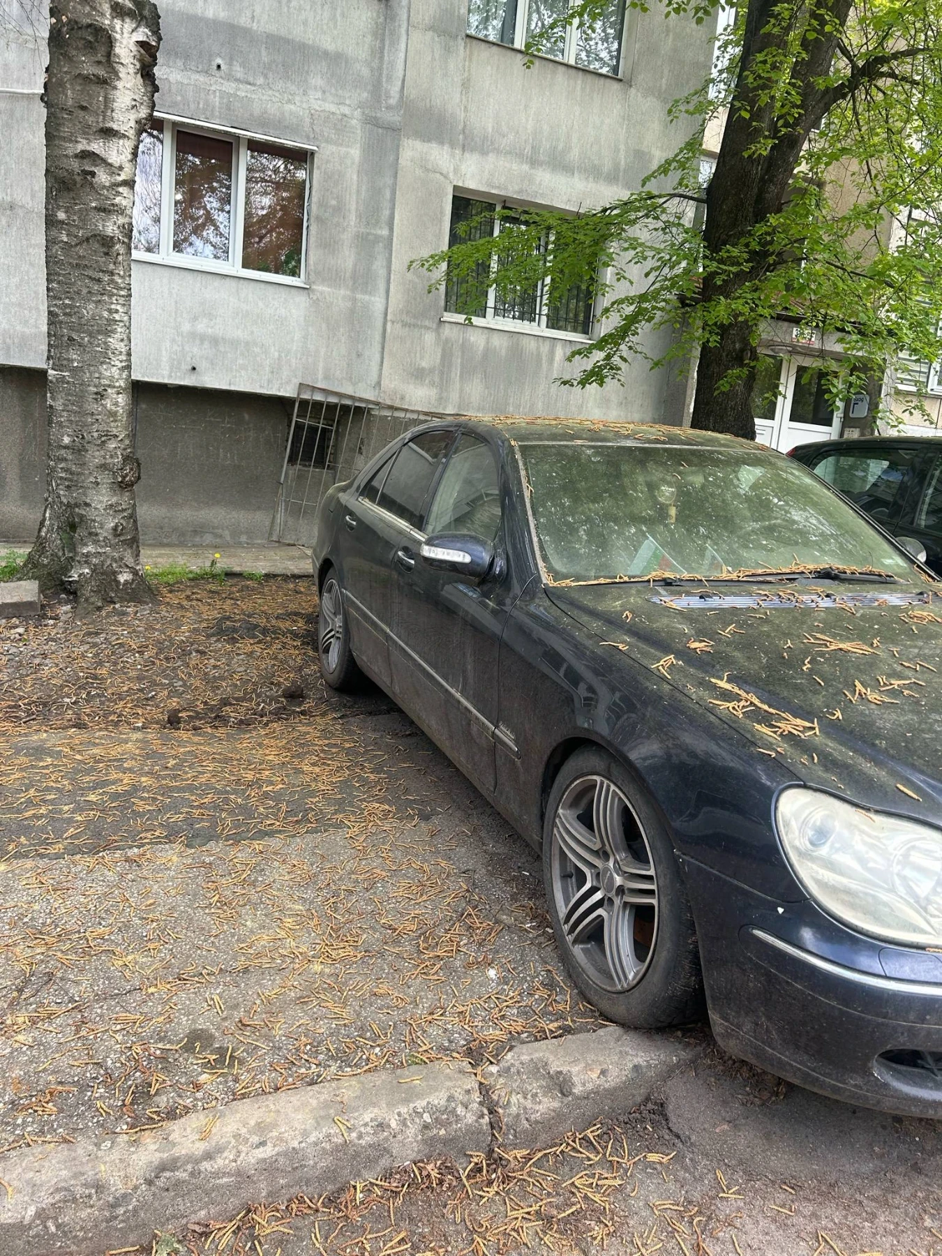 Mercedes-Benz S 320  - изображение 4