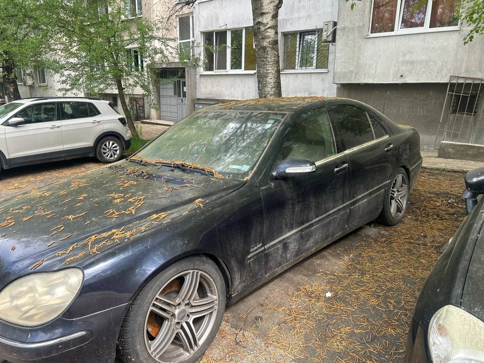 Mercedes-Benz S 320  - изображение 2