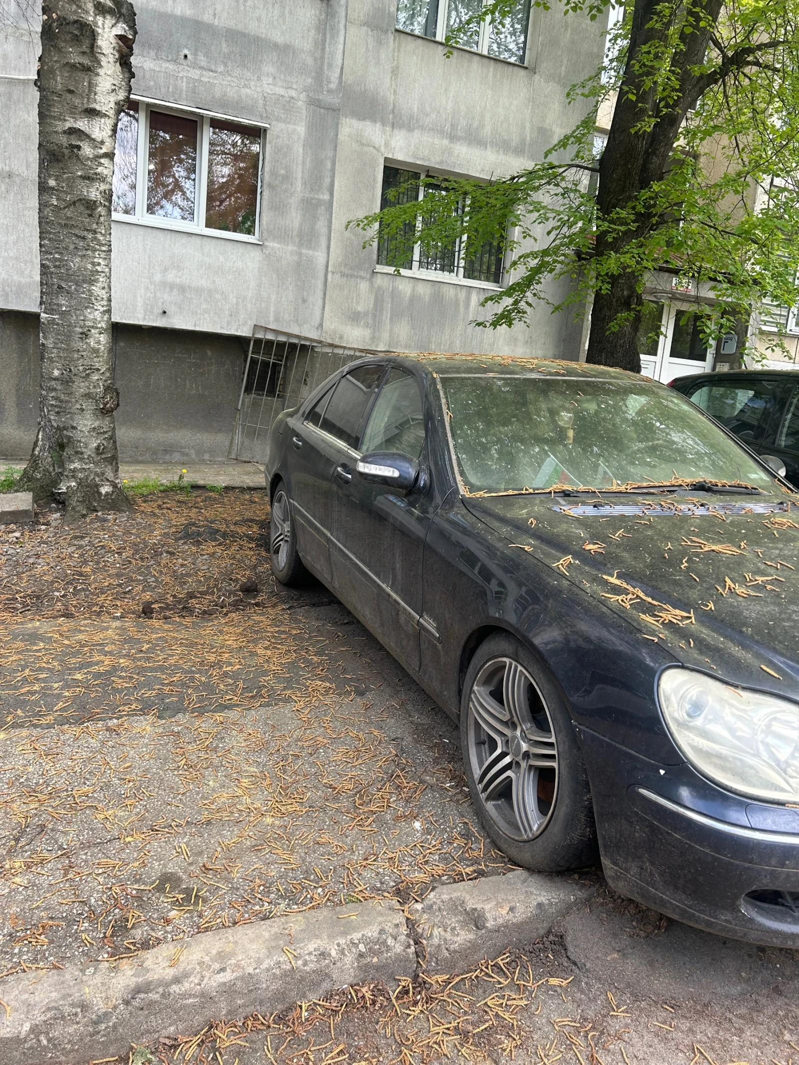 Mercedes-Benz S 320  - изображение 7
