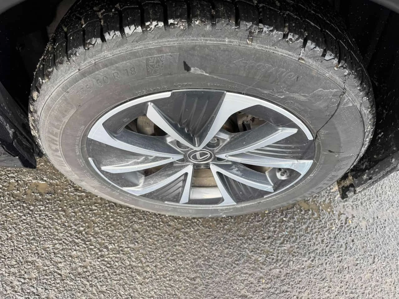 Lexus RZ 450e  CARFAX - изображение 7