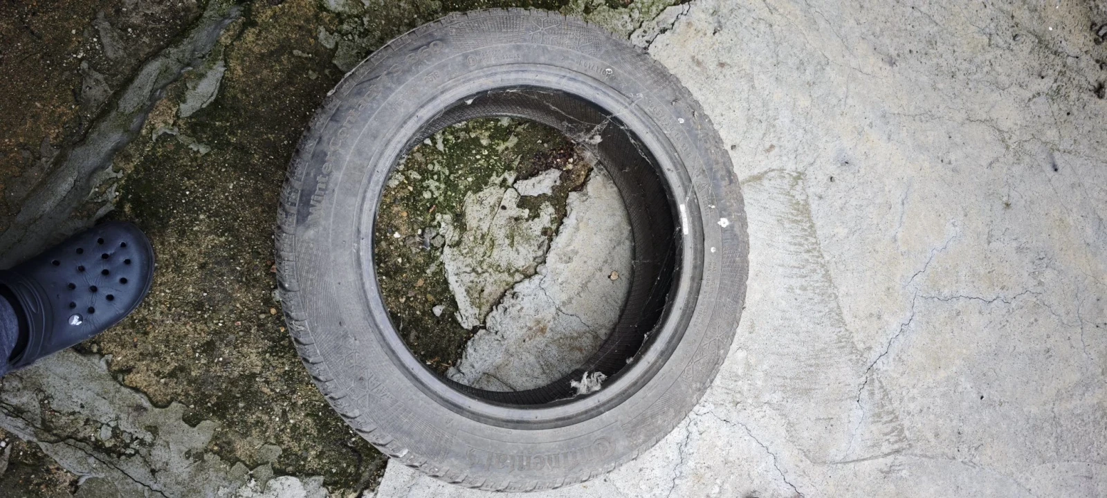 ���� 205/55R16 | Mobile.bg � ����������� 4