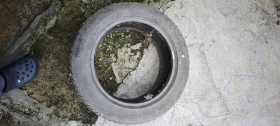 ���� 205/55R16 | Mobile.bg � ����� ������ 4