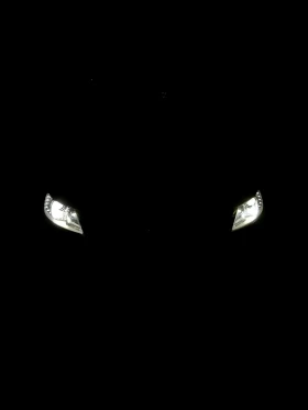 VW Passat CC 2.0 Bluemotion, снимка 10