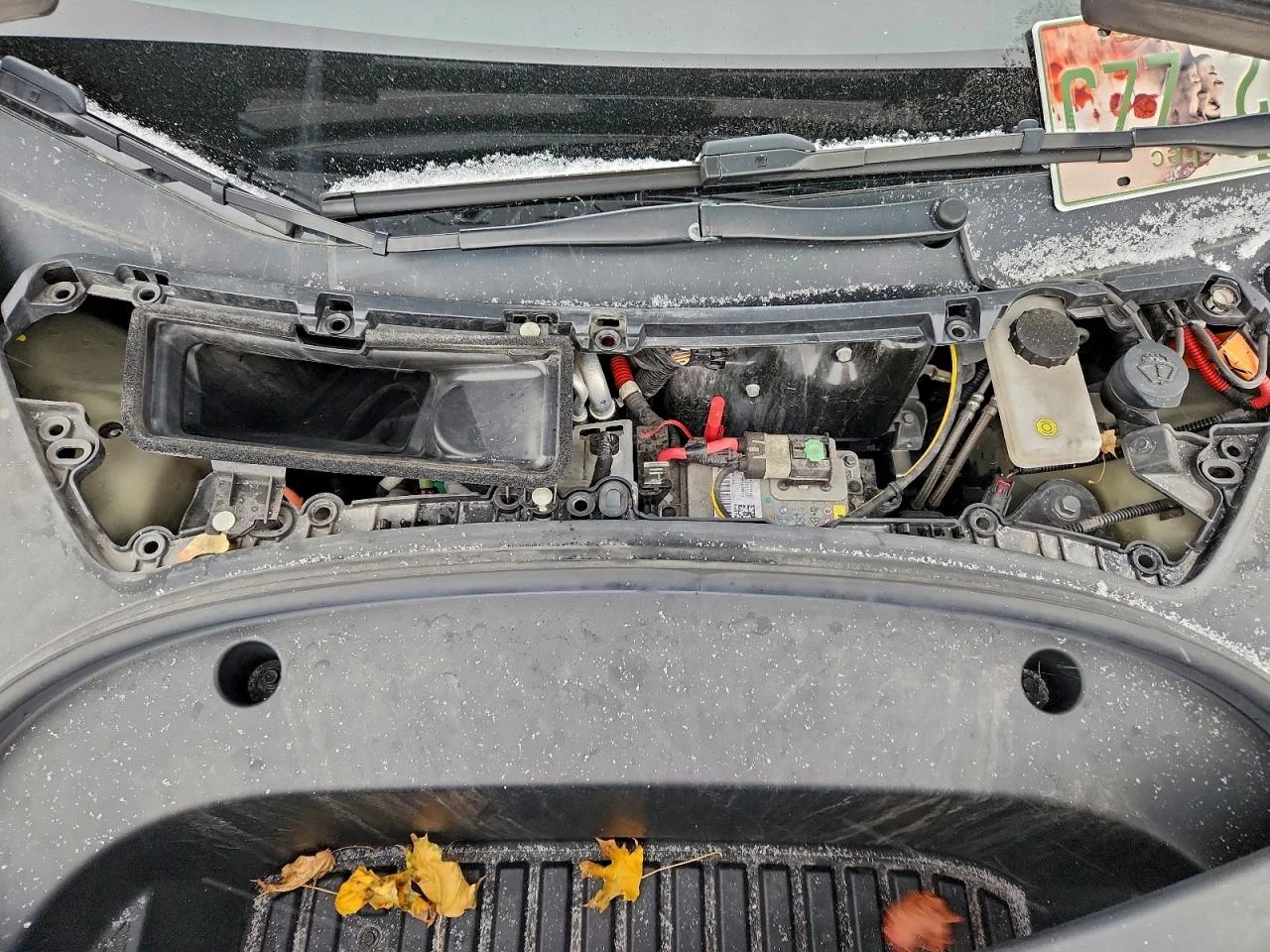 Tesla Model 3, снимка 11 - Автомобили и джипове - 53913420