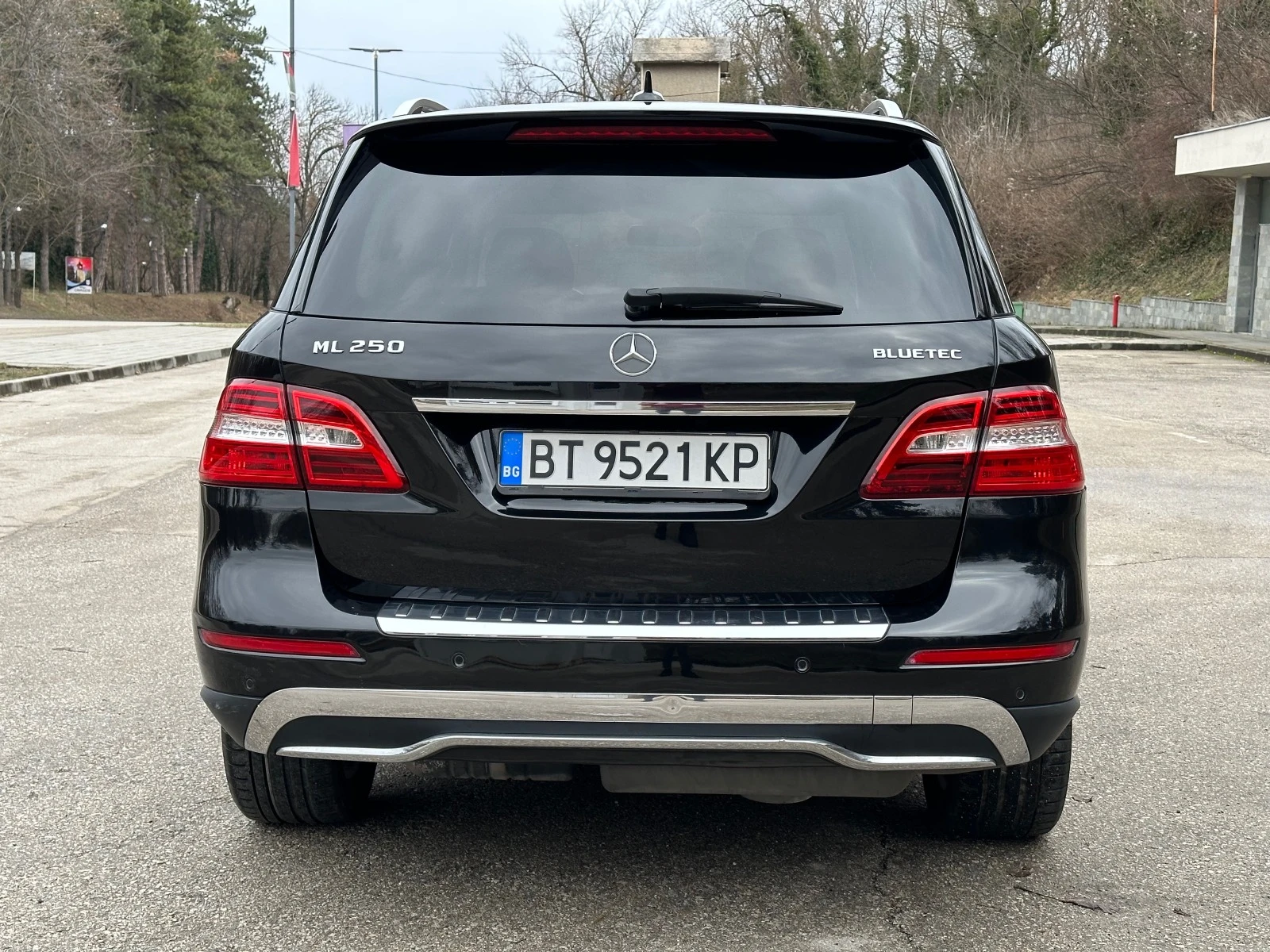 Mercedes-Benz ML 250 BLUETEC - изображение 4