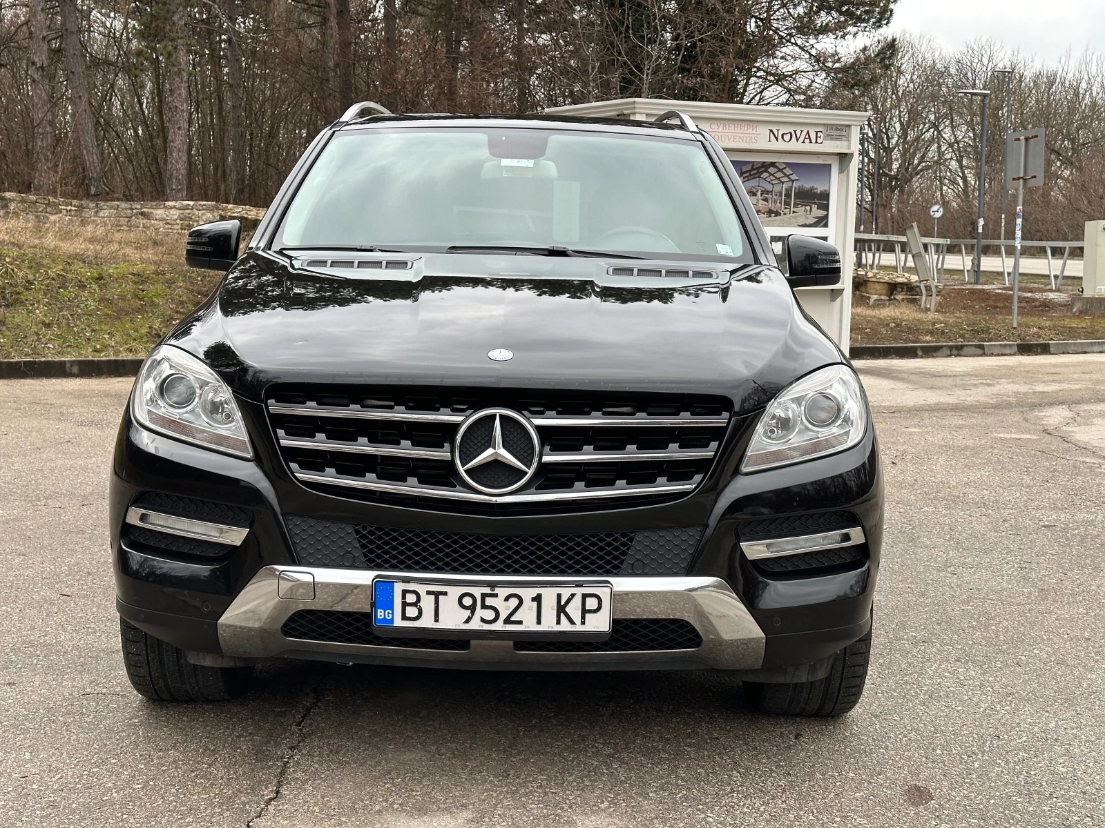 Mercedes-Benz ML 250 BLUETEC - изображение 8