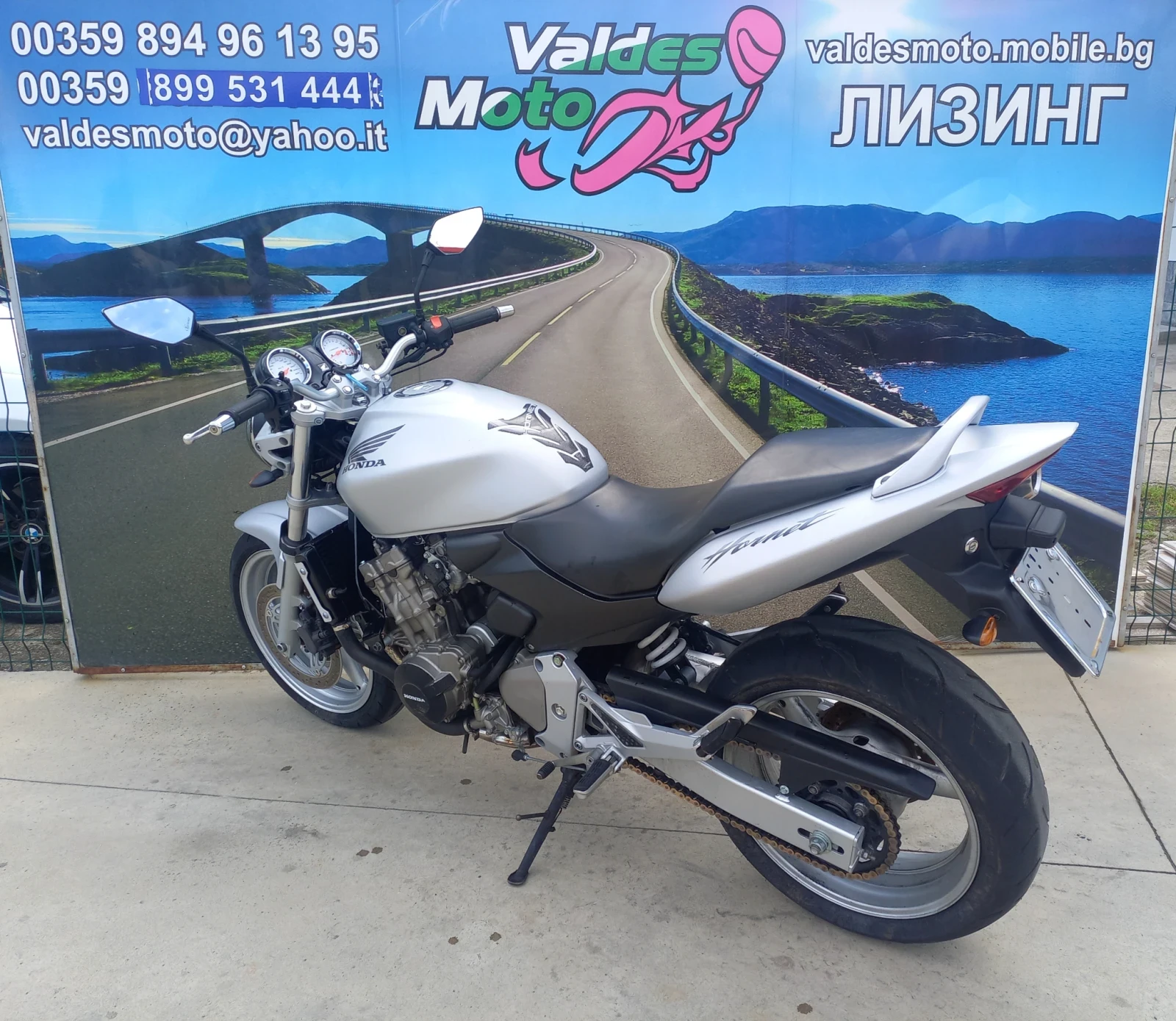 Honda Hornet 600 - изображение 5