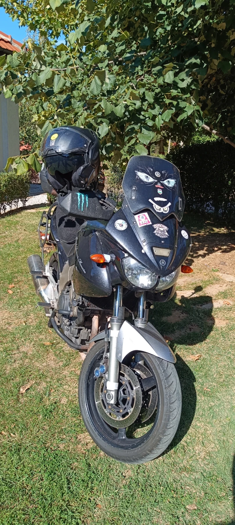 Yamaha Tdm 900 - изображение 2