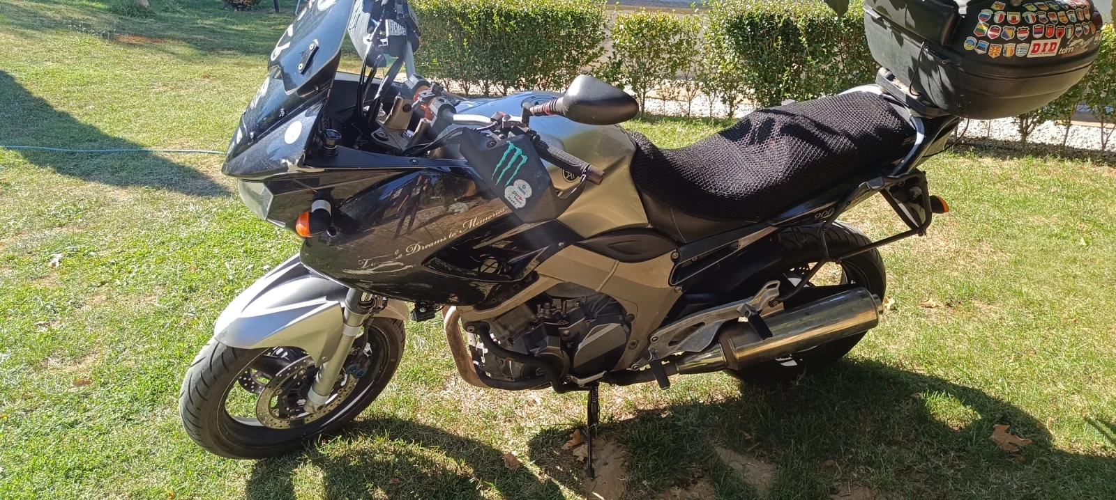 Yamaha Tdm 900 - изображение 3