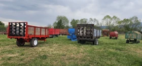 Друг вид Внос Ремаркета, снимка 1