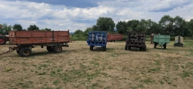 Друг вид Внос Ремаркета, снимка 1