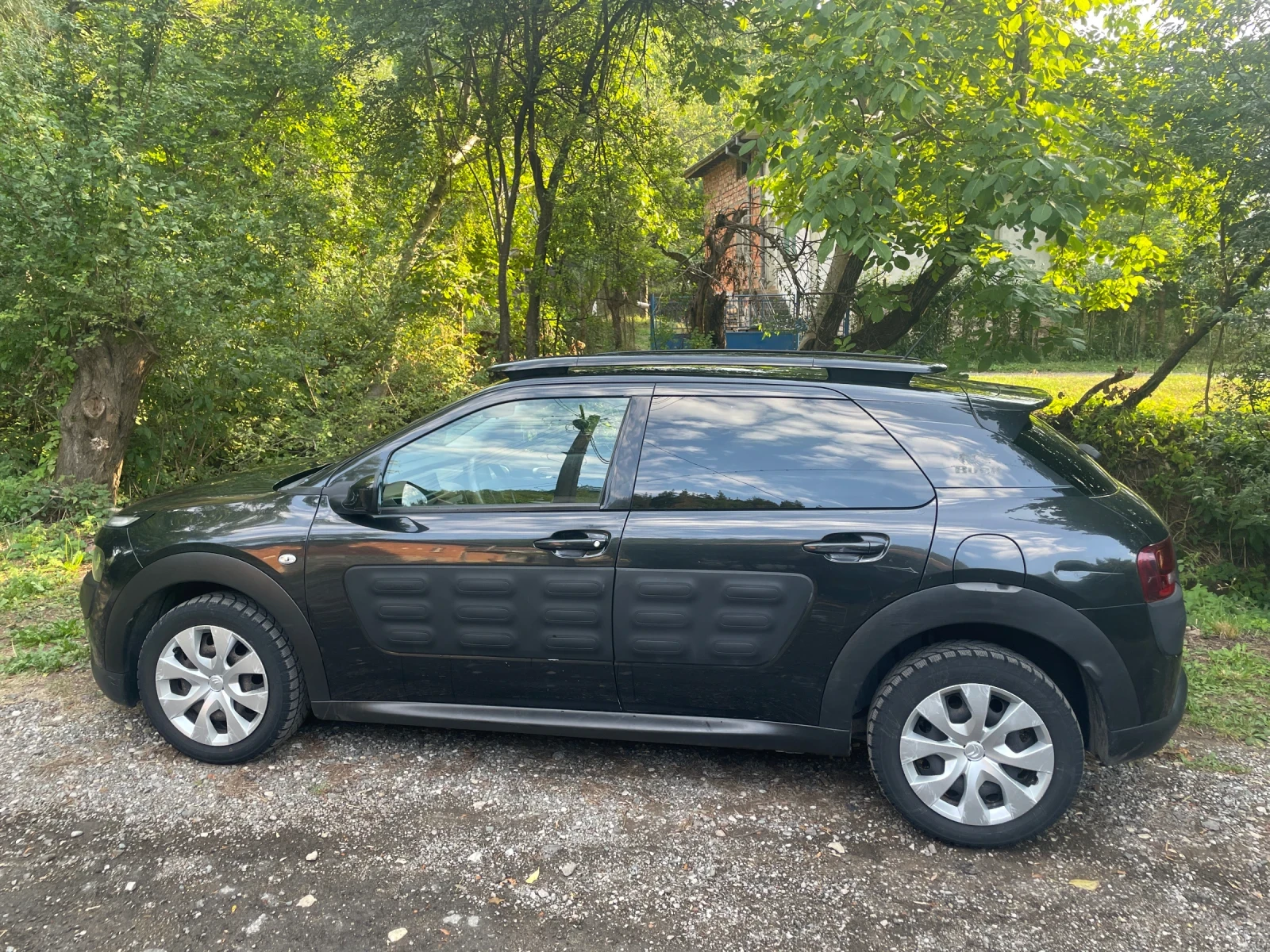 Citroen C4 Cactus  - изображение 2