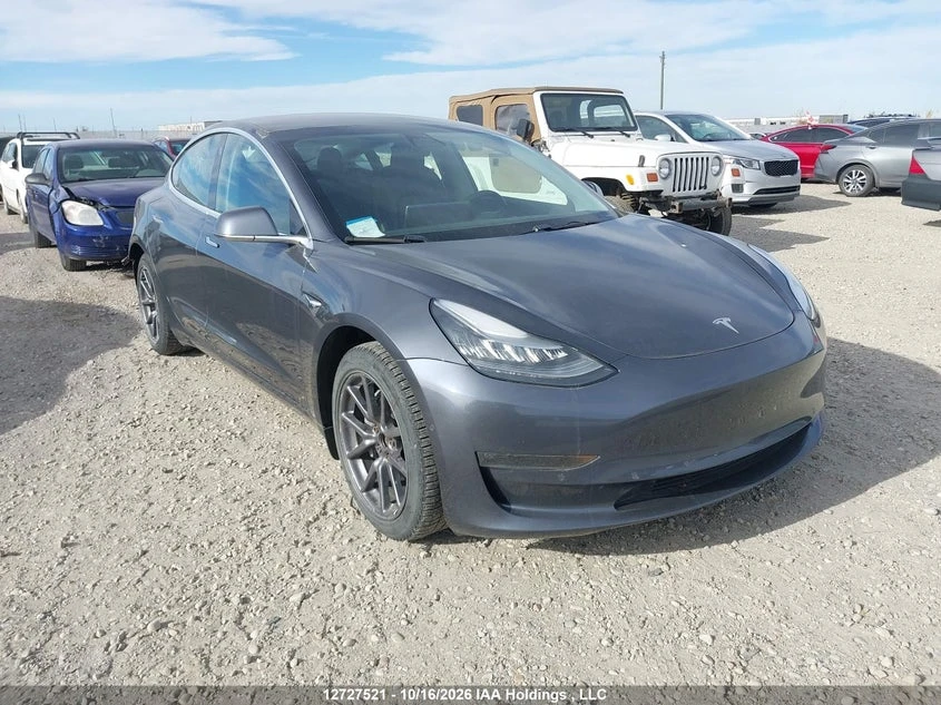 Tesla Model 3 Long Range/Performance