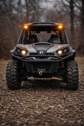 Can-Am Commander  - изображение 1