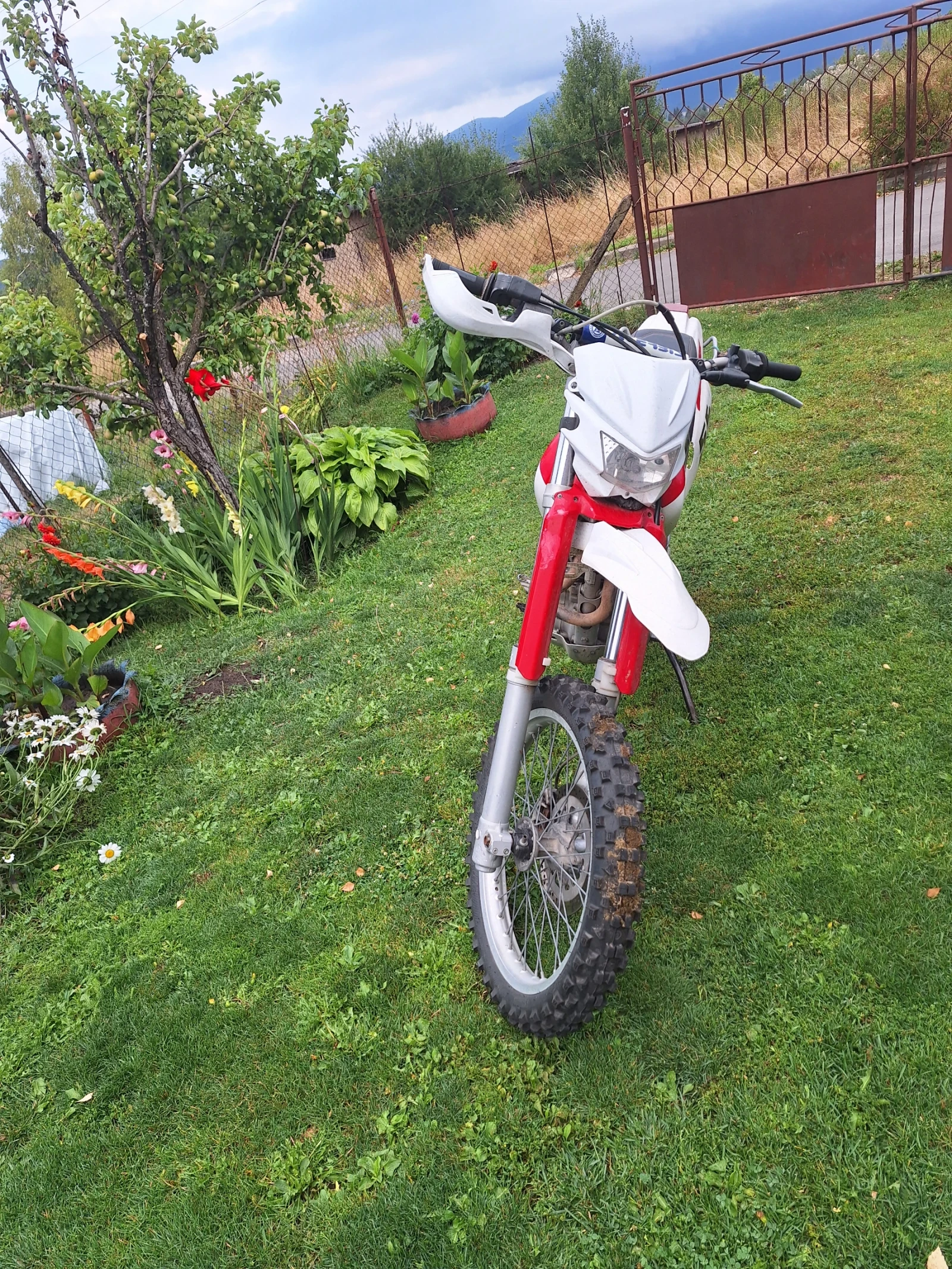 Yamaha Ttr