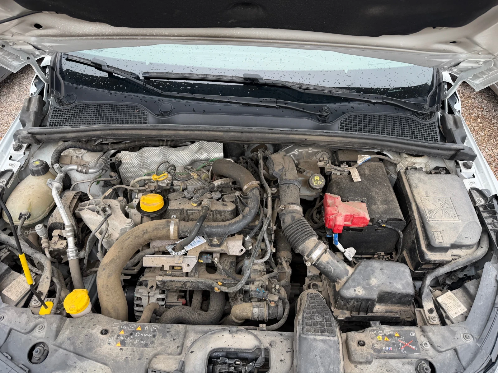 Renault Clio, снимка 14 - Автомобили и джипове - 55539828