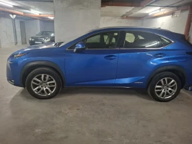 Lexus NX 300h undefined | Auto.bg — изображение 3
