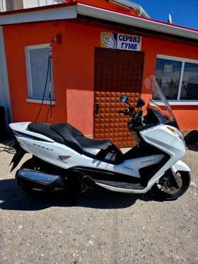 ����� �� �������� �� Honda Forza