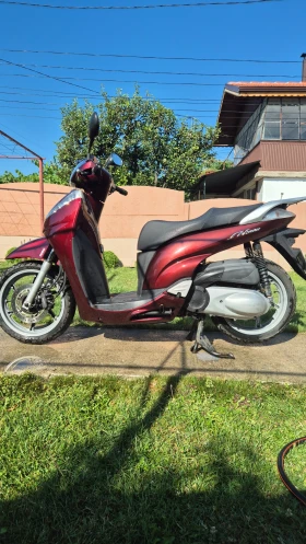     Honda Sh