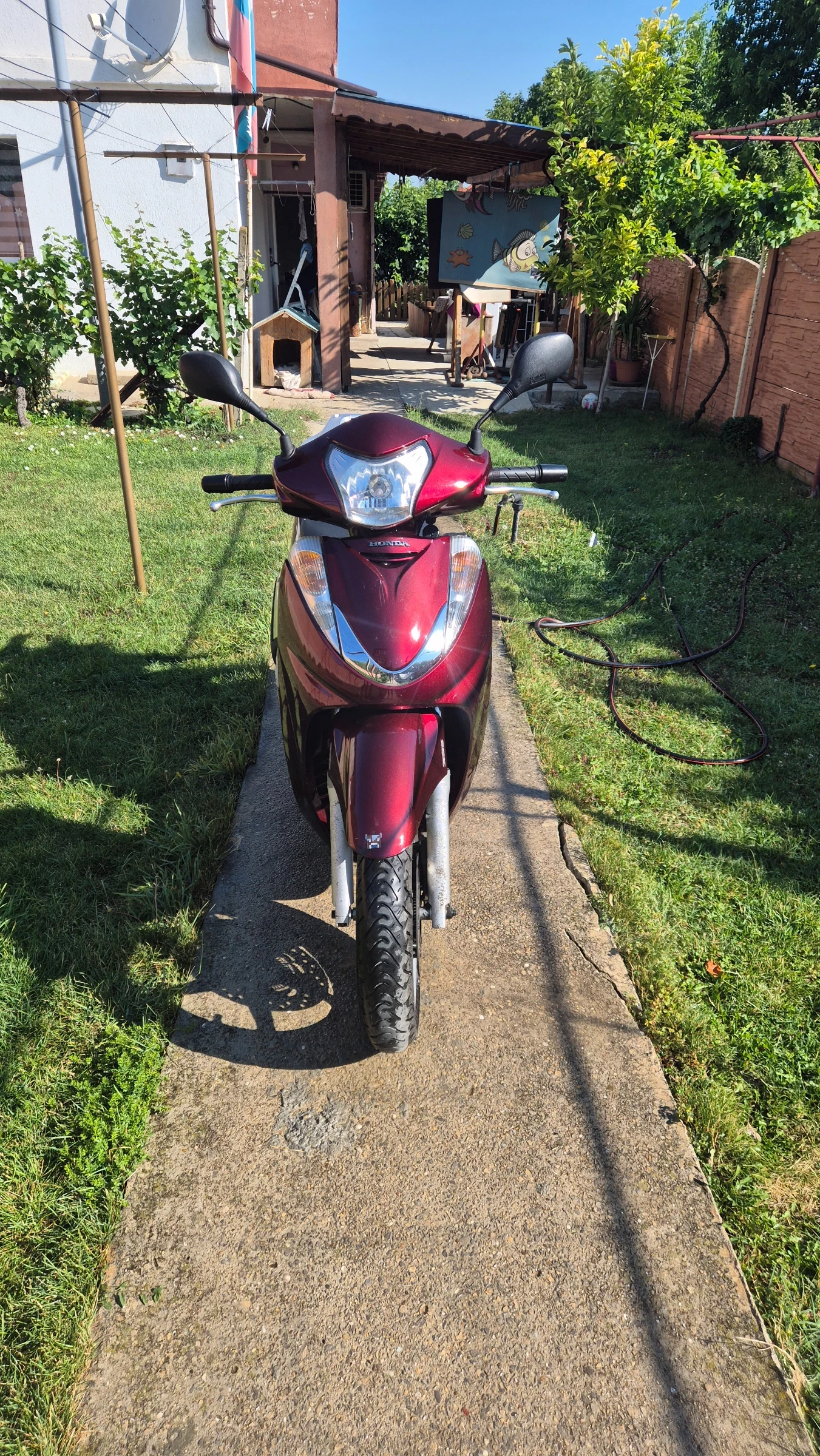 Honda Sh  - изображение 3