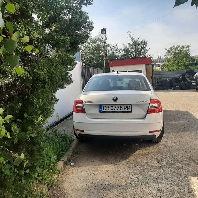 Skoda Octavia 1.6TDI, снимка 6 - Автомобили и джипове - 46584879