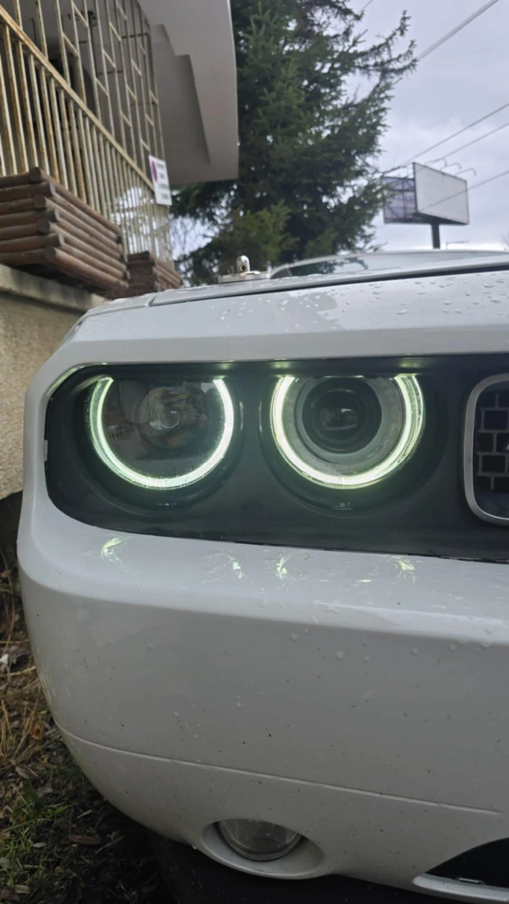 Dodge Challenger 3.6 | Mobile.bg � ����������� 11