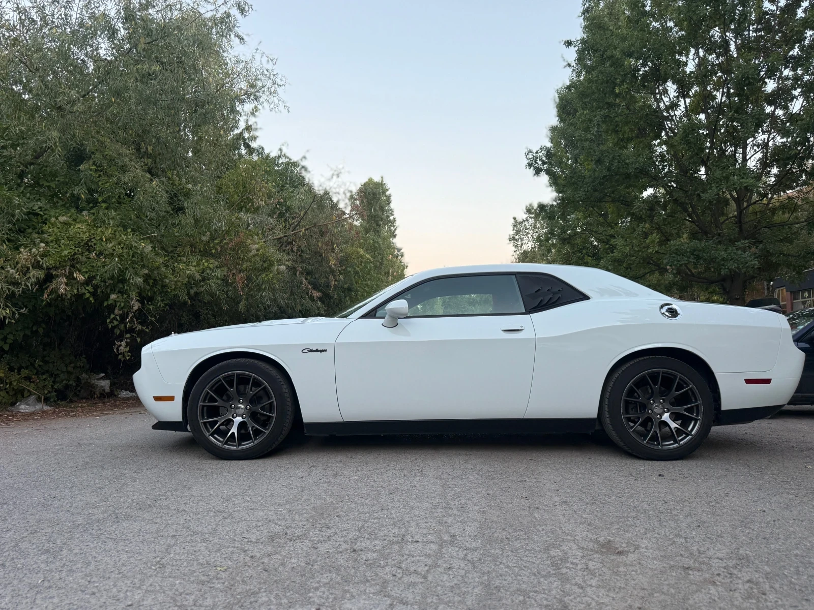 Dodge Challenger 3.6 - изображение 7
