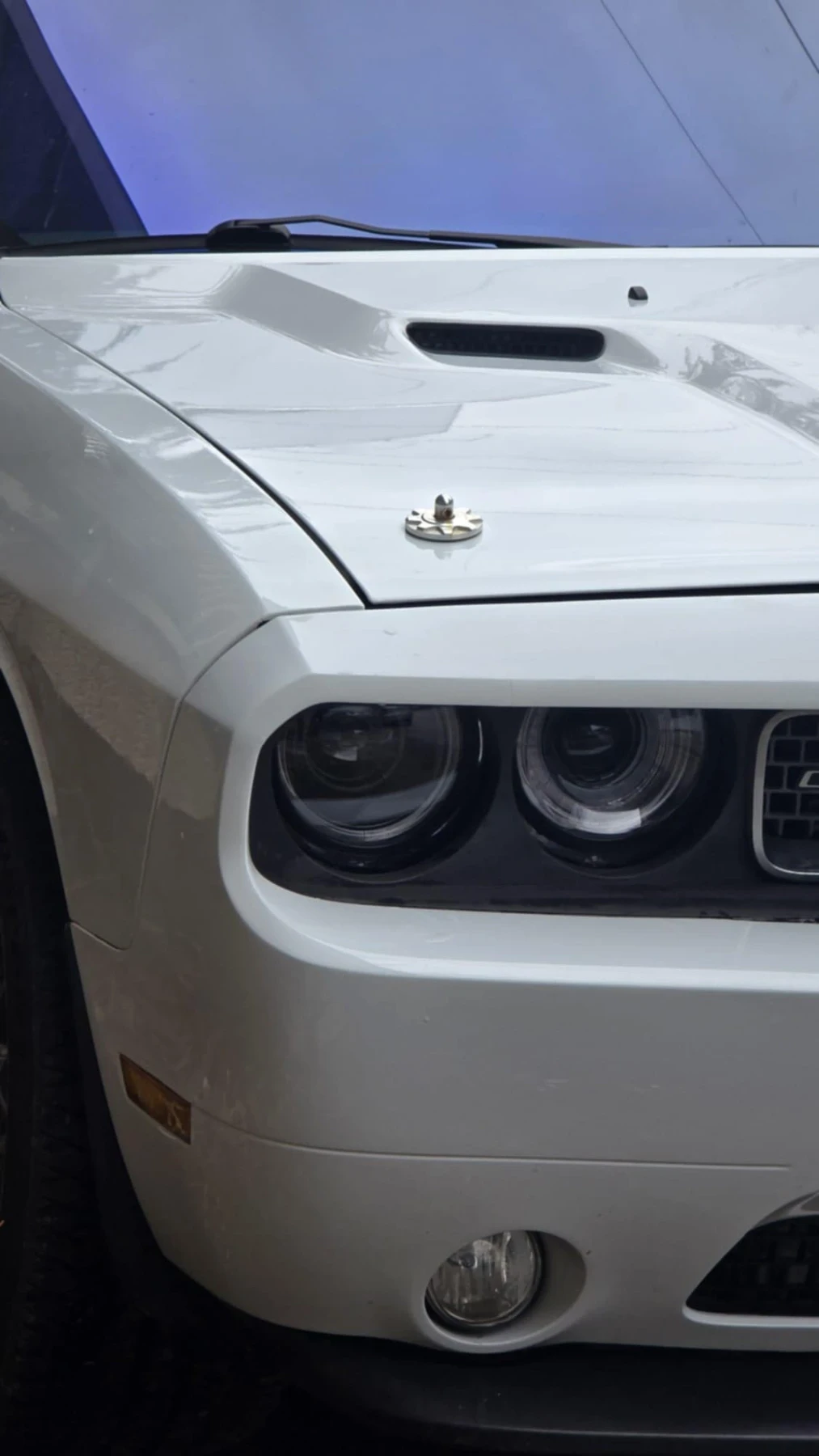 Dodge Challenger 3.6 | Mobile.bg � ����������� 3