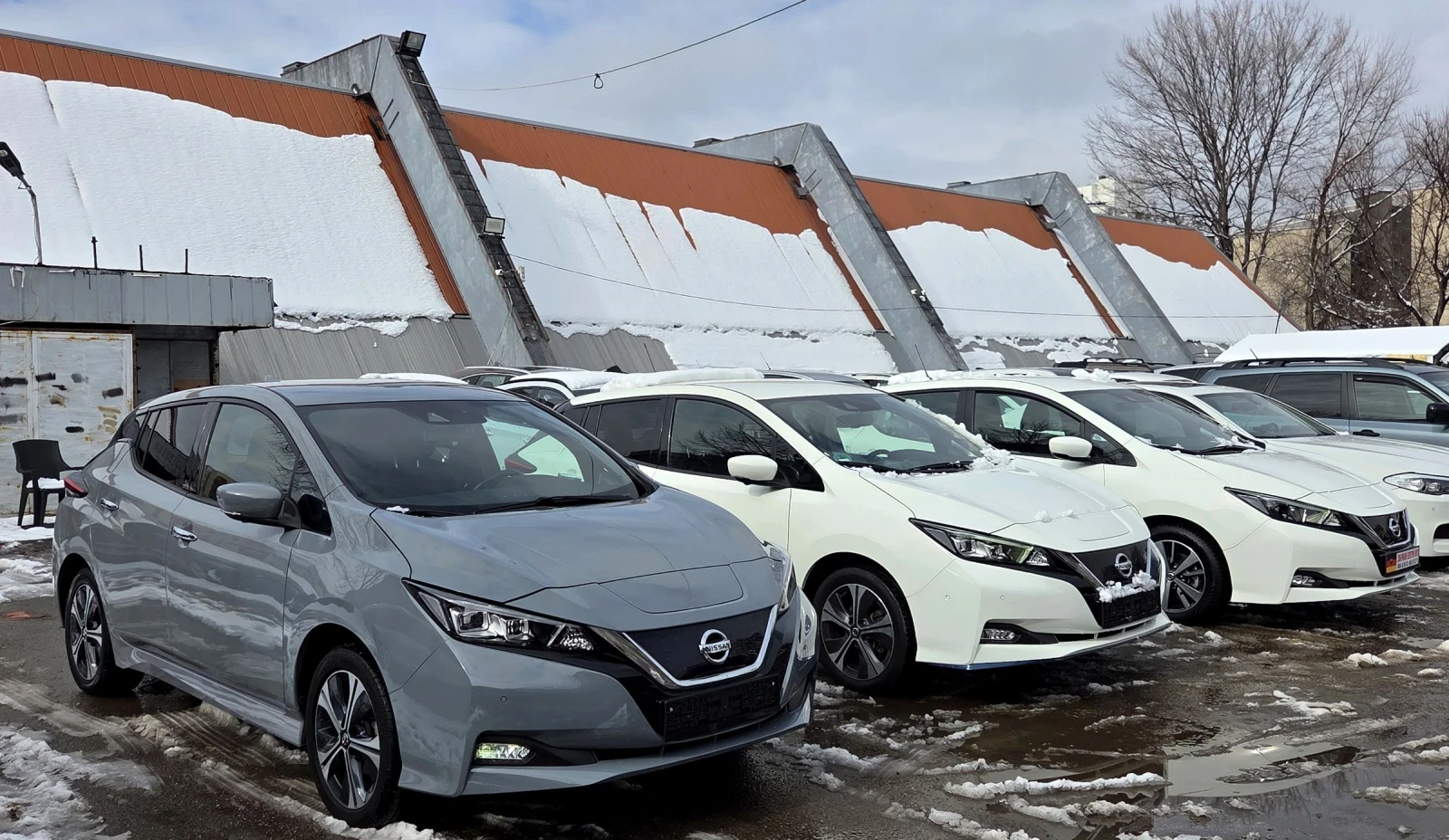Nissan Leaf  62KWh/TEKNA/ЗАВЕРЕНА СЕРВИЗНА КНИЖКА, снимка 17 - Автомобили и джипове - 53214332