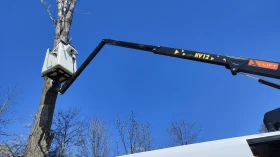 Renault Master ���������  | Mobile.bg � ����� ������ 14