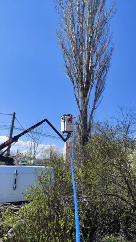 Renault Master ���������  | Mobile.bg � ����� ������ 13