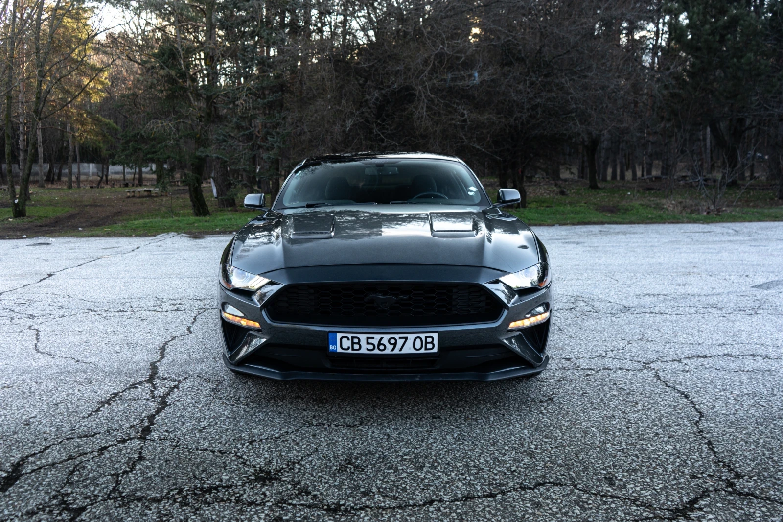 Ford Mustang Ford Mustang Automatic 2019  - изображение 2