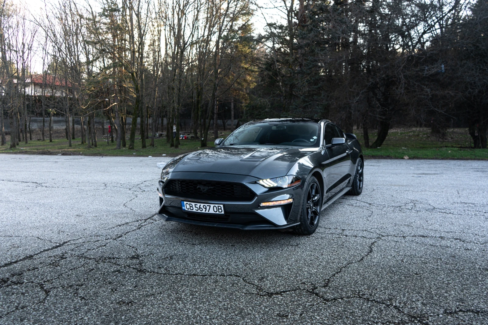 Ford Mustang Ford Mustang Automatic 2019  - изображение 3