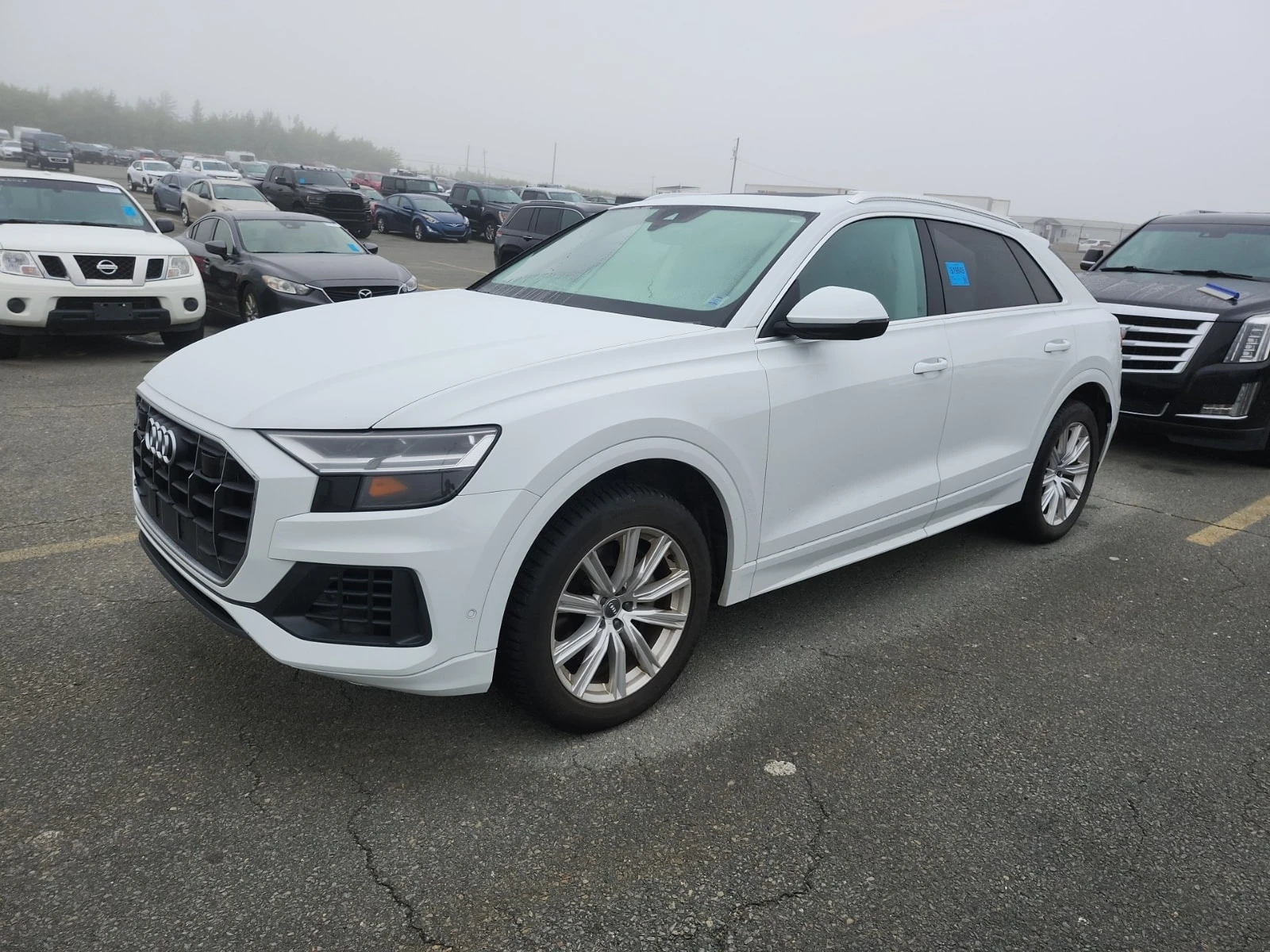 Audi Q8 55 Tfsi Quattro Progressiv / ОБДУХВАНЕ / DISTRONIC
