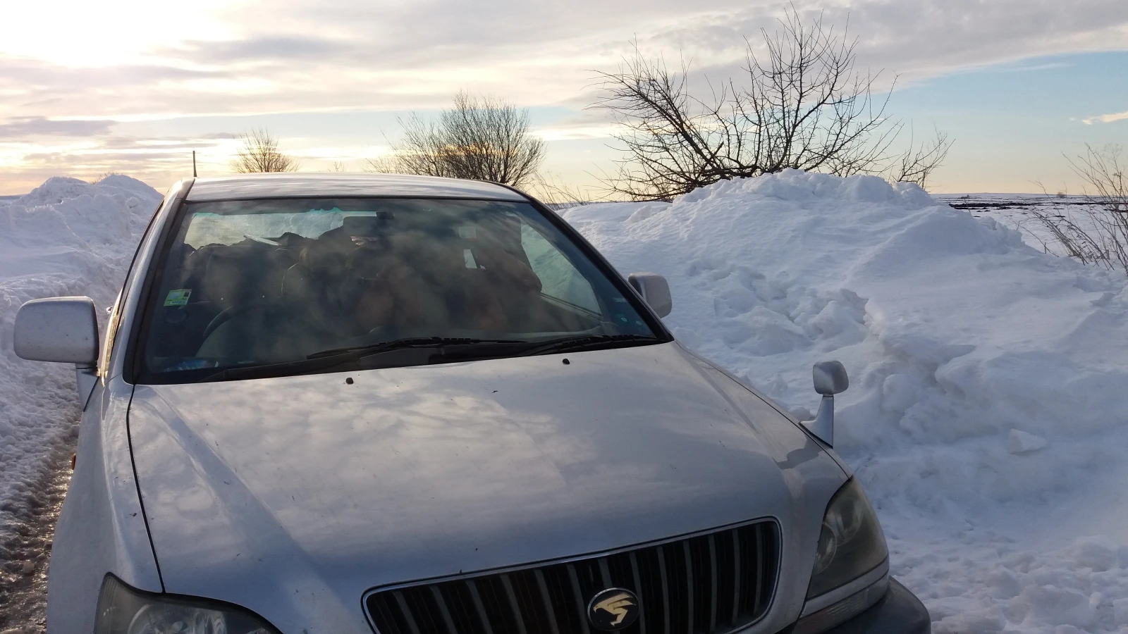 Toyota Harrier | Mobile.bg � ����������� 7