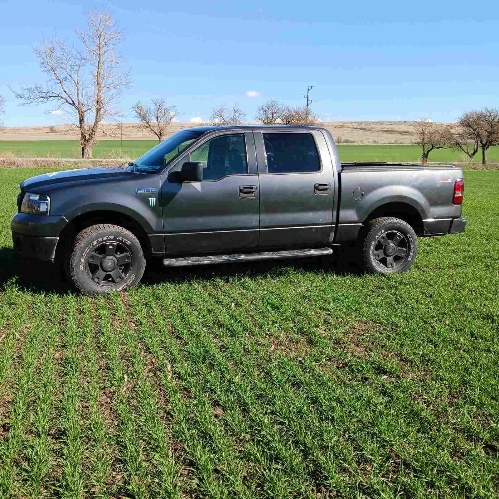 Ford F150  - изображение 4