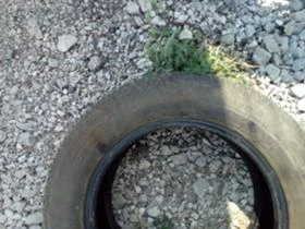 Гуми Летни 195/65R15, снимка 5