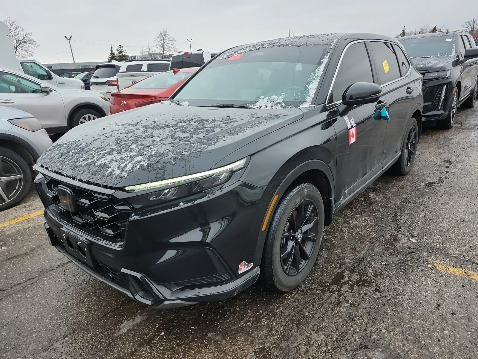 Honda Cr-v EX-L * CARFAX*  | Mobile.bg � ����������� 1