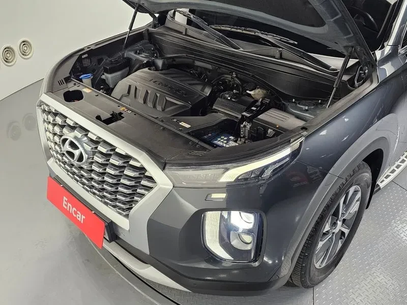 Hyundai Palisade 2.2 2Wd Exclusive, снимка 6 - Автомобили и джипове - 53962549