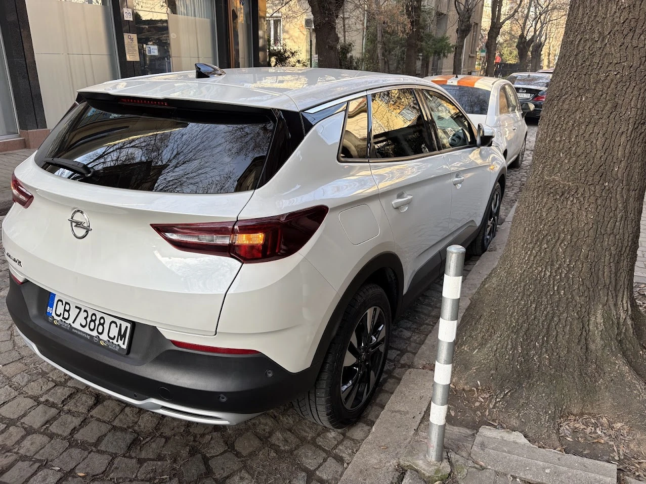 Opel Grandland X  - изображение 4