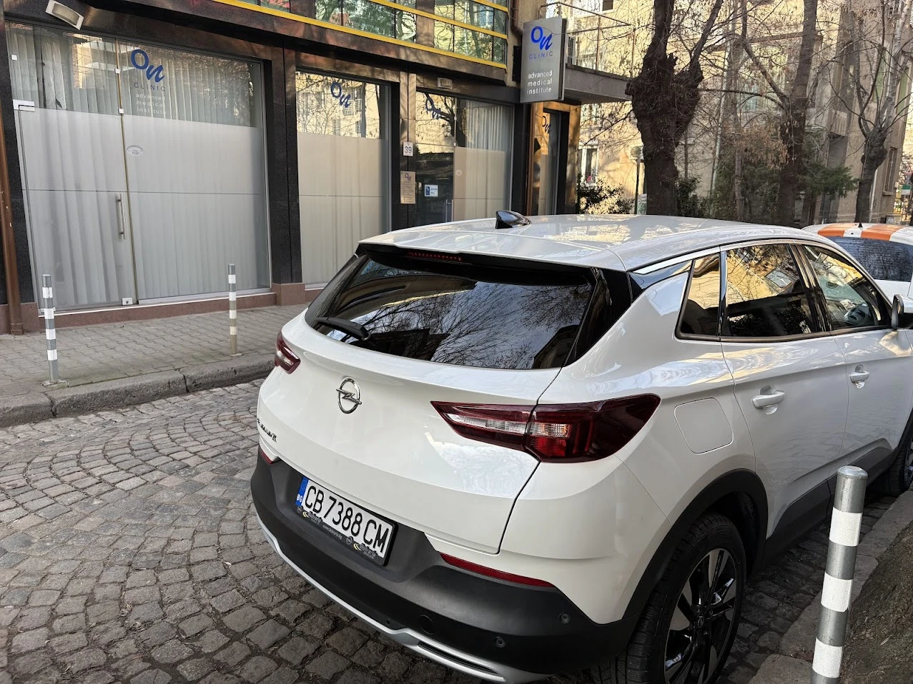 Opel Grandland X  - изображение 6