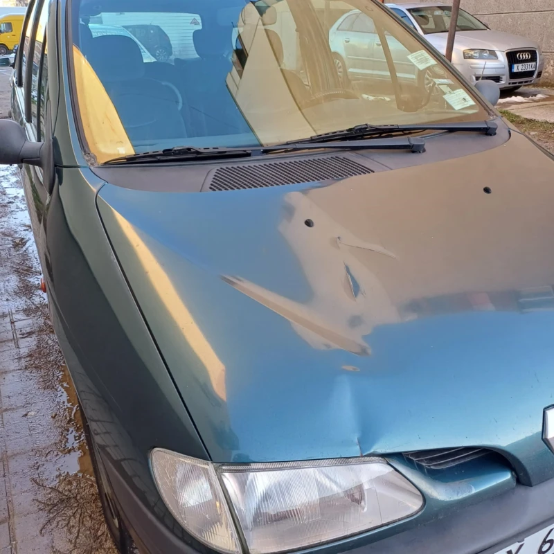 Renault Megane cenic, снимка 1 - Автомобили и джипове - 48732418