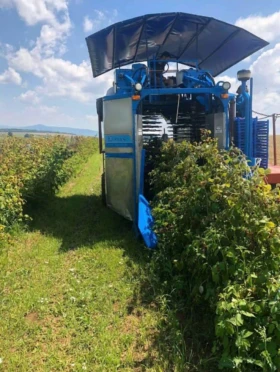 �������������� ������ ������ �� ����/������ Korvan 9000 | Mobile.bg � ����� ������ 8