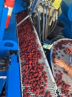 Специализирани машини Машини за лозя/овошки Korvan 9000, снимка 11