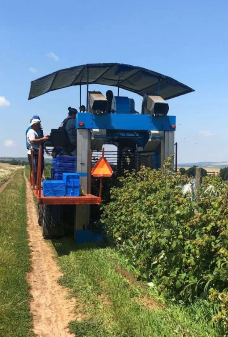 Специализирани машини Машини за лозя/овошки Korvan 9000, снимка 9 - Селскостопанска техника - 53189832