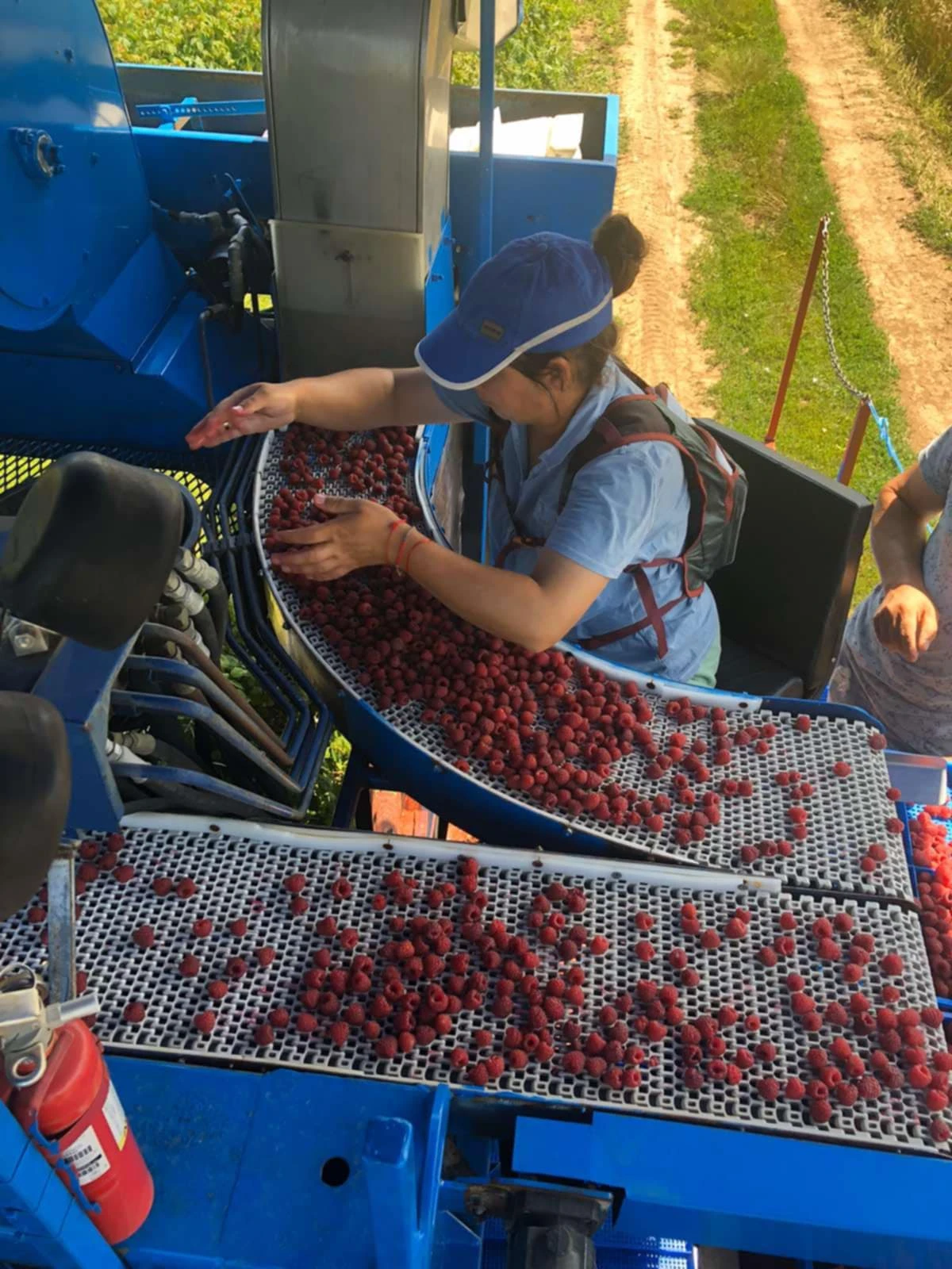 Специализирани машини Машини за лозя/овошки Korvan 9000 - изображение 10