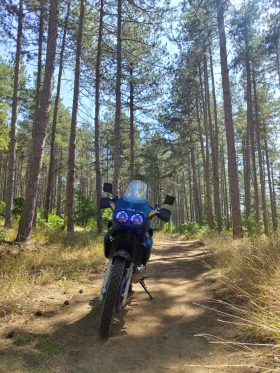 Yamaha Xtz 660 Tenere, снимка 7