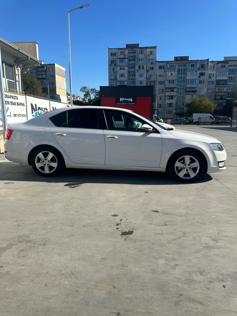 Skoda Octavia 1.6tdi GreenLine, снимка 8 - Автомобили и джипове - 47722123