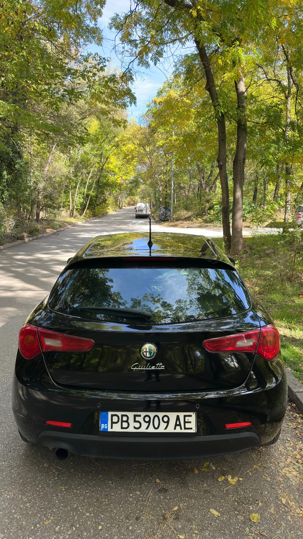 Alfa Romeo Giulietta 1.4 Бензин/Газ 120 коня, снимка 10 - Автомобили и джипове - 53944999