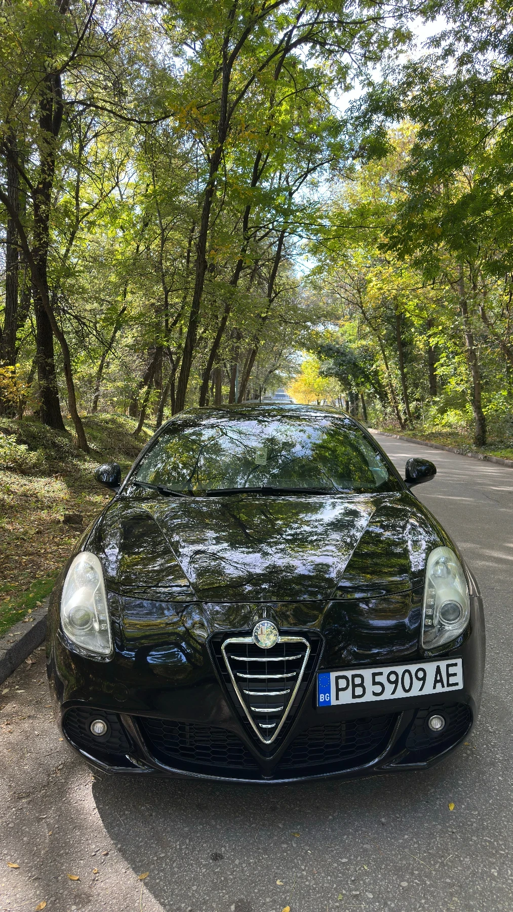 Alfa Romeo Giulietta 1.4 Бензин/Газ 120 коня, снимка 2 - Автомобили и джипове - 53944999